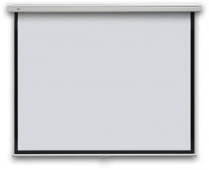 Настенный проекционный экран Standart Настенный проекционный экран Standart является базовой моделью, имеет механическую регулировку высоты экрана и обладает стандартными качественными характеристиками. Рассчитан на установку в помещениях небольшого размера.